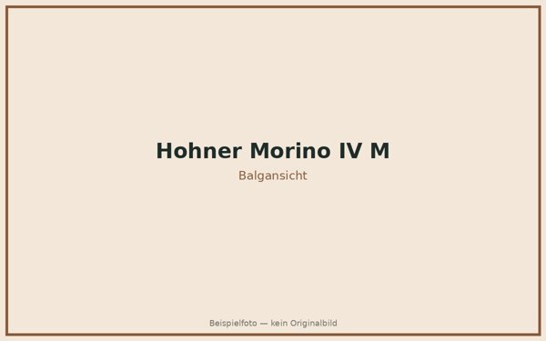 Hohner Morino IV M